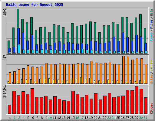 Daily usage for August 2025