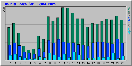 Hourly usage for August 2025
