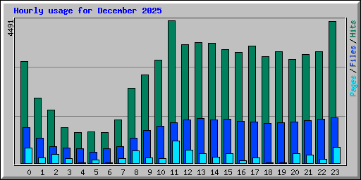 Hourly usage for December 2025