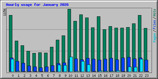 Hourly usage for January 2026