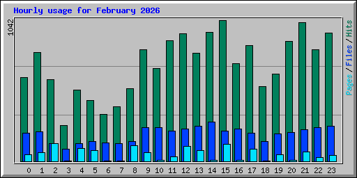 Hourly usage for February 2026